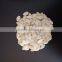 2015 Crop Inner Mongolia Pumpkin Seeds