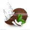 Thailand Cold Pressed Virgin Coconut Oil