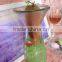 216mm Height Hot Sale Glass Material Green Water Plant Empty Decorative Bottle/Jar