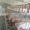 Poultry Farm Machinery Gestation Crates Stalls For Pigs