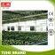 Agricultural fan Greenhouse Cooling System Chicken Fan