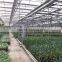 Hot sale poly green house in india