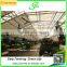 Mult span commerical glass greenhouse for sale