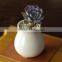 Attractive indoor glazed white ceramic small flower pots