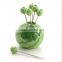 Factory Wholesale Stainless Steel Watermelon Shaped Fruit Forks with Holder