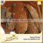New Processing Halal Mackerel Fish in Tomato Sauce