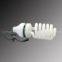 Compact Fluorescent Lamps