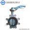 DN100 DN200 Carbon Steel Lug Type Flange Butterfly Valve WLTD71F-10Q