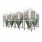 600L beer fernentation tank beer fermenter beer brewing equipment for sale