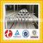 Hot selling Seamless ASTM A312 304L stainless steel pipe industry with low price for chemical