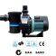 swimming pool water pump