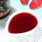 Longan Honey Flavored Syrup (Concentrated)  china supplier factory