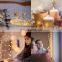 USB powered  led decorated string lights led christmas string light with remote warm white 5M 50leds