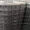 Green Coated PVC Vinyl Welded Wire Mesh weldedwiremesh chickenwirenetting wire netting poultry fence poultrymesh welded wire black wire black welded weldwire