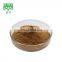 100%  gynostemma pentaphyllum extract