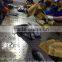 Frozen Seafood bonito Fish To Supply