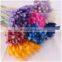 Wholesales Hot Sale Preserved Natural Flowers Bouquet Bunny Tail Dried Decorative Pink Colorful Lagurus Home Wedding Decoration