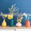 Gold Floor Ovale Pampas Grass Colorful Vases Modern White Color Clay Morandi Vintage Nordic Design Ceramic Vase