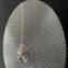 Sintered conical wire mesh filter strainer