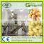 High quality steam potato peeler/steam carrot peeler machine