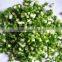 High Speed Automatical Spring Onion Cutter