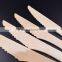 Factory of Disposable Birch Wooden cutlery                        
                                                Quality Choice