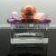 25ML perfume bottle collections