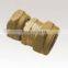 Brass Adapter/Compression Fitting/Fitting/brass connector