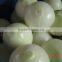 2014 New Crop High Quality Yunnan Fresh Yellow Onion