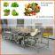 Aquatic Products Vegetable Cleaning Machine for Sale