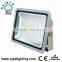China Factory Good Price 50w 100w 200w Led Floodlight