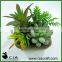 Hot Artificial Mixed Potted Succulents Arrangement in Pottery Pot for Table Plant