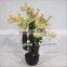Indoor artificial Flowering Cactus Plants made in China