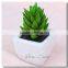 Pvc Material and Succulent Plants Plant Type Artificial Succulent Plants