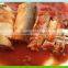 Canned Mackerel Fish in Tomato Sauce