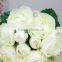 2016 New Artificial Peony flower European Wedding Home Party Decoration Bouquet