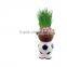desktop gift cheap flower pots outdoor plant small