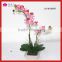 Silk Artificial Orchid Flower Wholesale Silk Artificial Flower