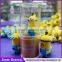 2016 promotion usb flash drive Minions USB Top selling cheapest colorful usb