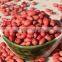 Supply with Chinese Raw Red Skin Peanut Kernels Without Shell For Sales