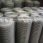 Galvanized and PVC Vinyl Coated Welded Wire Mesh (Anping Factory)