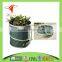 Hot selling pop up garden bag leaf bag