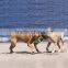 QingQ Factory Large Toy For Dogs Puppies Top Cool Rope Dog Chew Toy