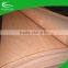 A B C D grade PLB / Bintangor / keruing wood face veneer / 0.25mm Okoume Veneer to india market