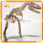 KANO5210 Life-Size Jurassic Fiberglass Dino Bone For Display