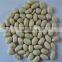 2014 crop ,Blanched Peanut kernels, Long size and Round Size