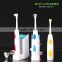 sonic replaceable toothbrush motorized toothbrush HQC-011
