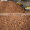 Viet Nam Star Aniseed / Star Anise