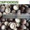China IQF Frozen Shiitake Mushroom Slices/Cuts/Whole