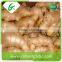 Dehydrated organic ginger
